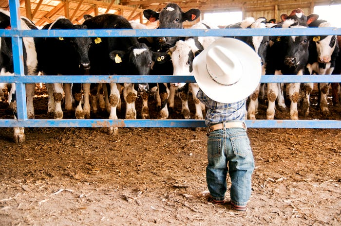 Top 15 "Santa's Little Ranch Helpers" Photos Top 15 "Santa's Little Ranch Helpers" Photos