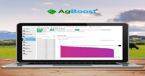 AgBoost scales AI-enabled genetic data software for cattle producers