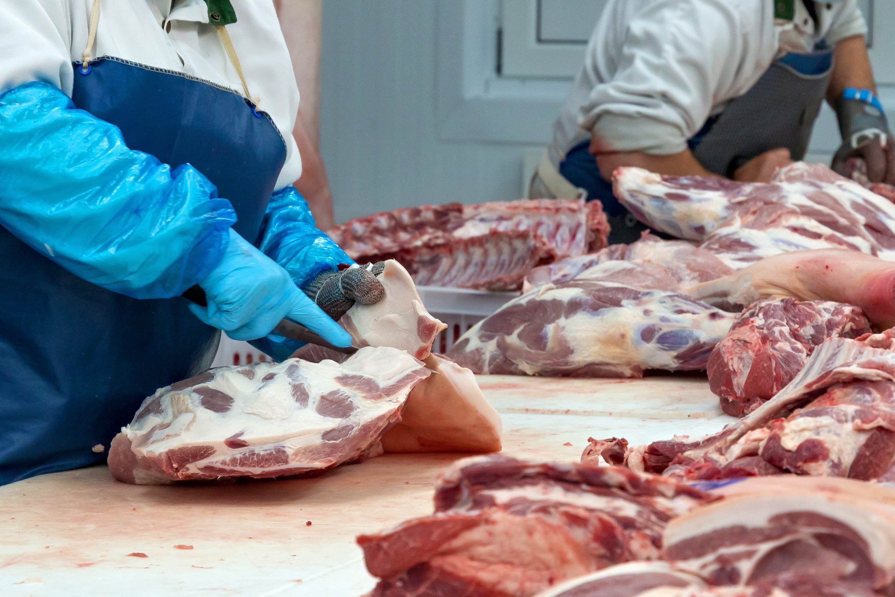 Meat Institute guidance fights child labor, identity fraud - Vimarsana News