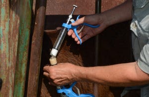 Cattle injections