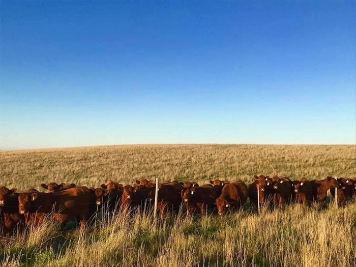 Cell phone cameras capture beautiful ranch photos
