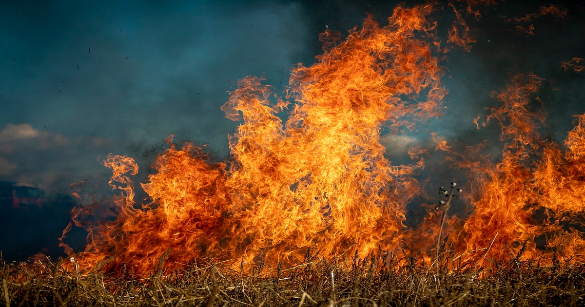 Montana Stockgrowers Foundation accepting donations for wildfire recovery
