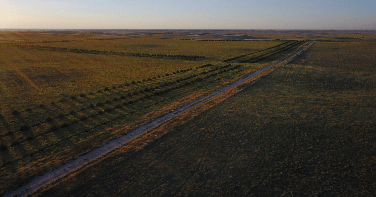 Taking care of the land takes care of Mathewson family