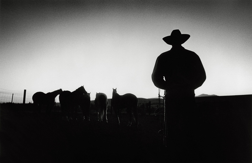 Cowboy Documentaries.jpg