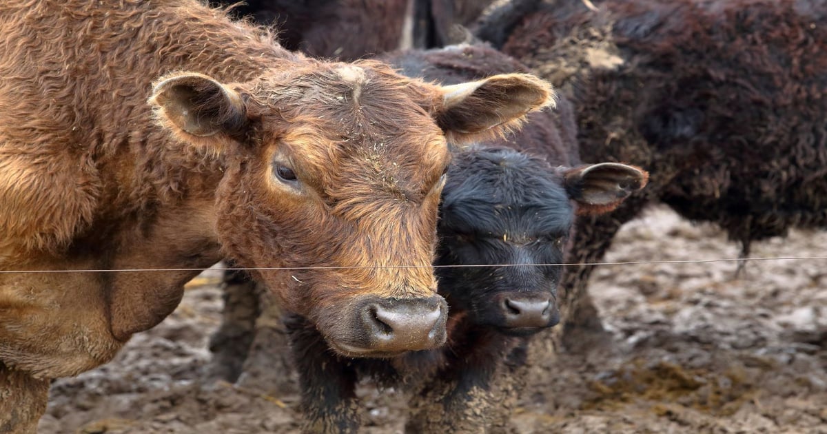 It's the season: Mud Season
