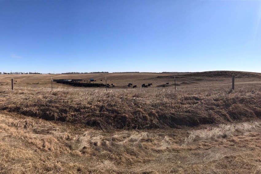 It’s National Ag Week; PLUS: 5 awesome ranch life perks It’s National Ag Week; PLUS: 5 awesome ranch life perks