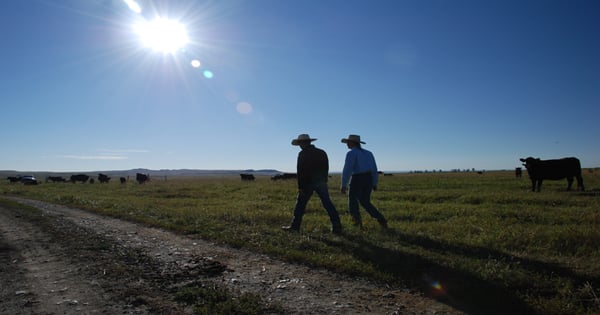 Dreaming of ranching? Tough talk from someone who's been there