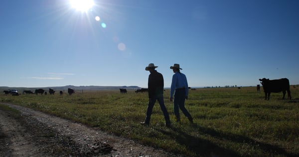 Someone Ranching Dreaming of ranching? Tough talk from someone who's been there