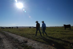 Turning that ranching dream into reality: Tough talk from someone who has been there