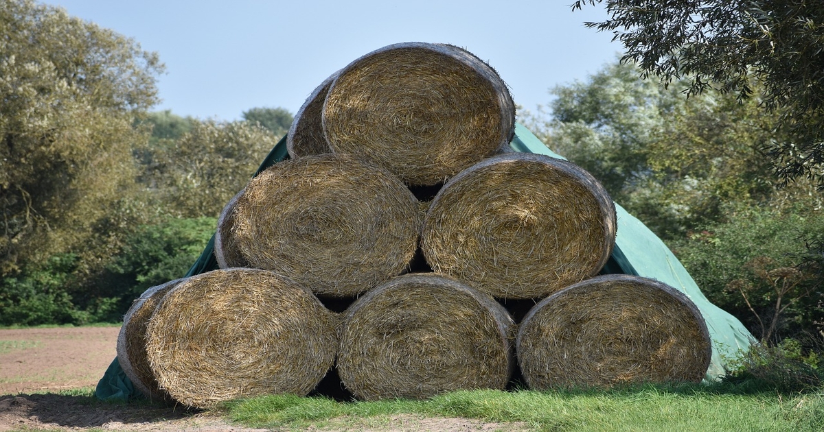 University of Missouri, Missouri Department of Agriculture helping producers find hay