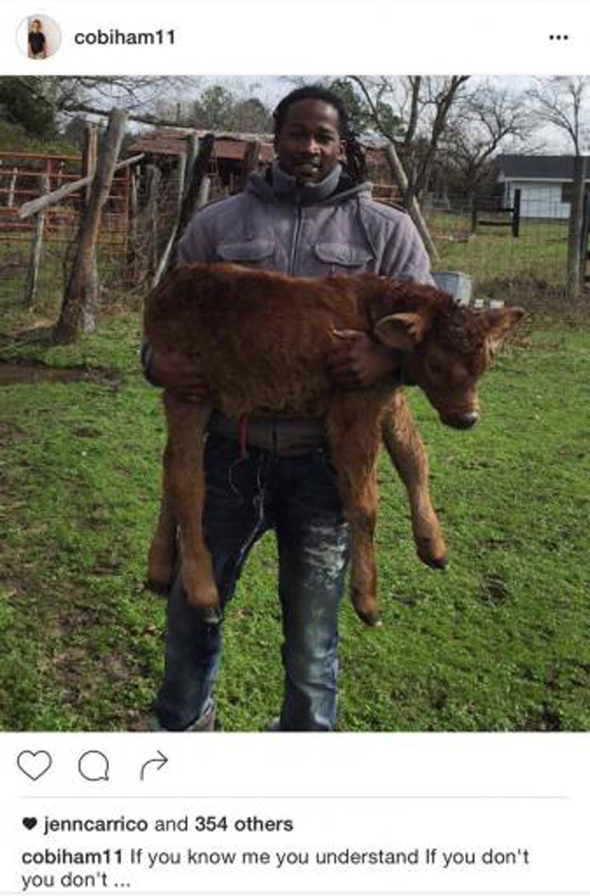 NFL player spends signing bonus to buy cattle NFL player spends signing bonus to buy cattle