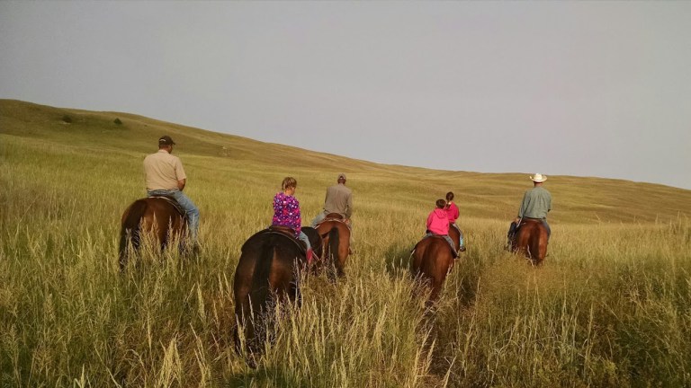 6 Trending Headlines: For the love of ranching, part 2; PLUS: Wildlife and cattle can coexist