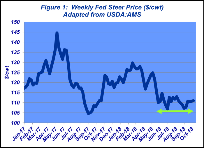 October-2018-Weekly-fed-steer-price-1.png
