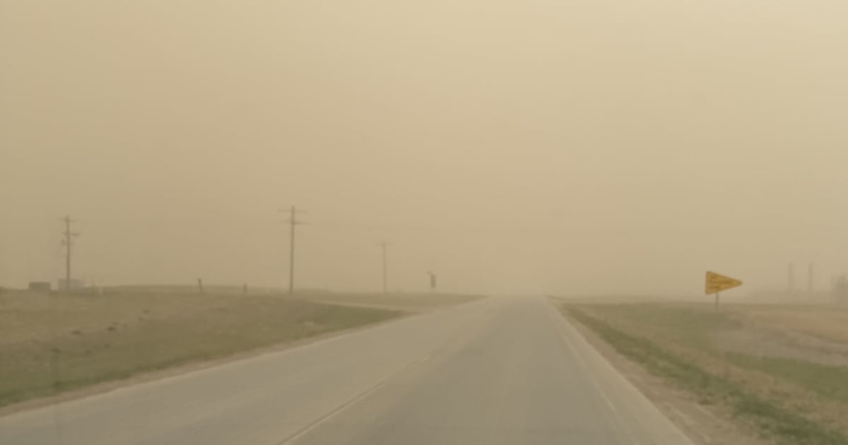 Dry, dusty conditions can increase pneumonia risk in cattle