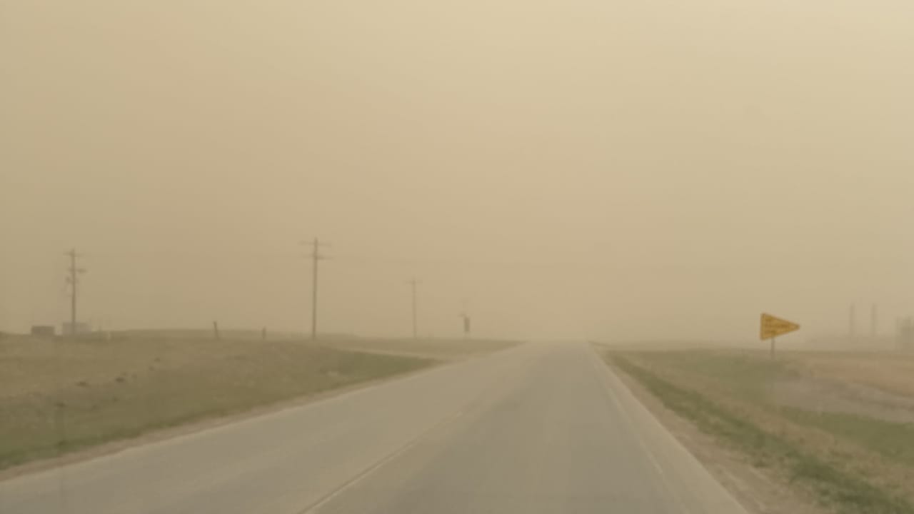 Dry, dusty conditions can increase pneumonia risk in cattle