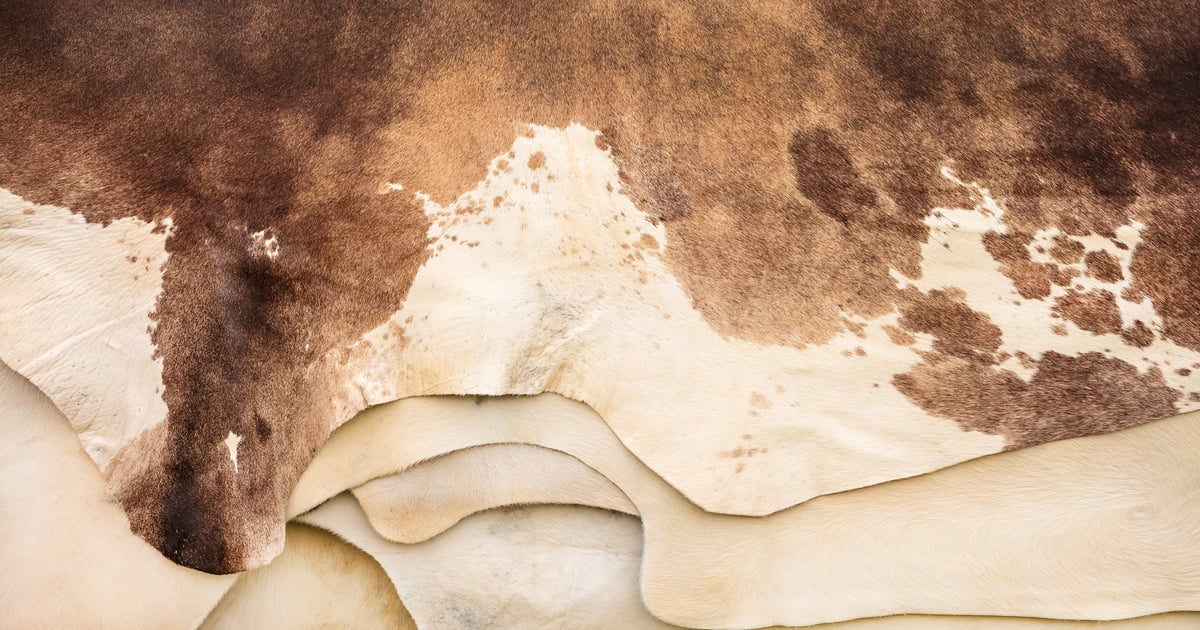 Cowhides count