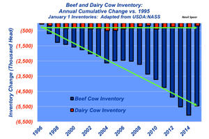 Industry At A Glance: The importance of dairy calves in the beef business