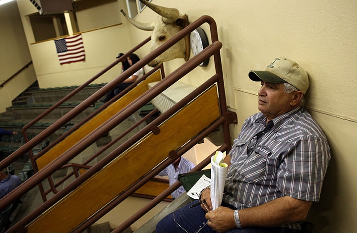 Why beef prices are up and cattle prices are down Why beef prices are up and cattle prices are down