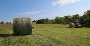 An argument worth having: the importance of hay quality vs. quantity