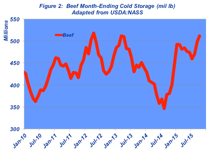 cold storage report