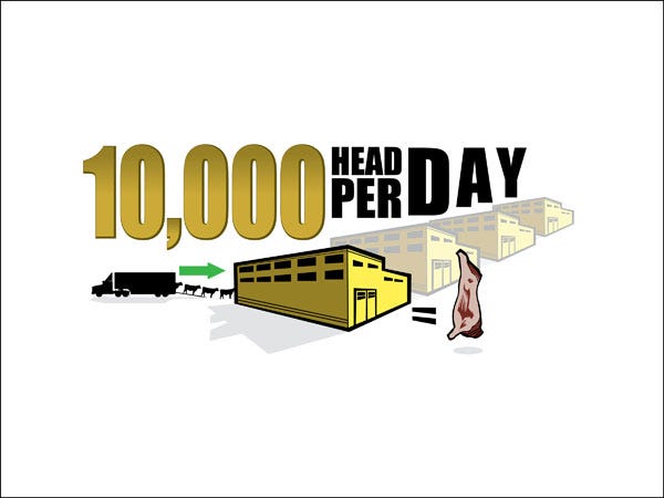 Infographics Highlight Technology Efficiency In Beef Industry Infographics Highlight Technology Efficiency In Beef Industry