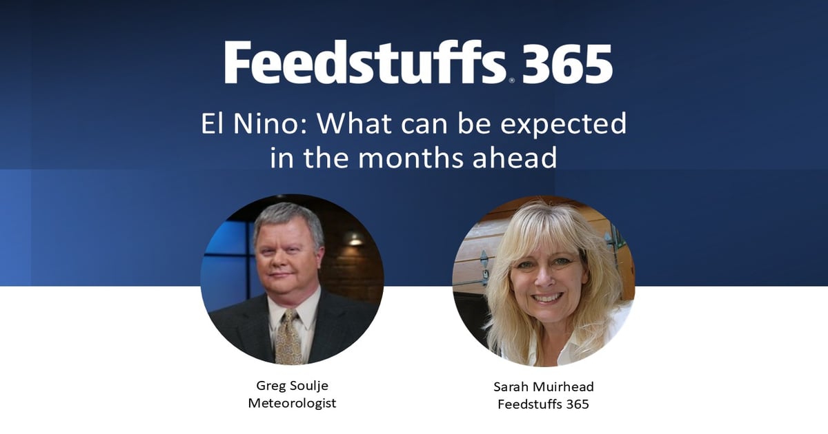 El Nino: What can be expected in the months ahead