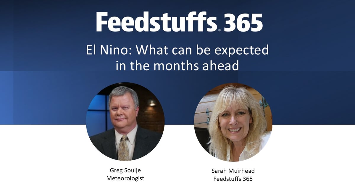 El Nino: What can be expected in the months ahead