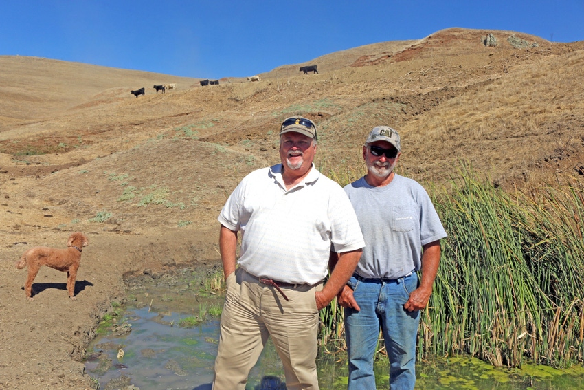 California’s Sparling Ranch: Where salamanders roam California’s Sparling Ranch: Where salamanders roam