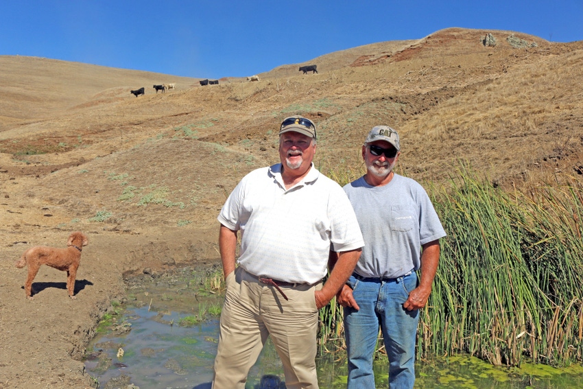 California’s Sparling Ranch: Where salamanders roam