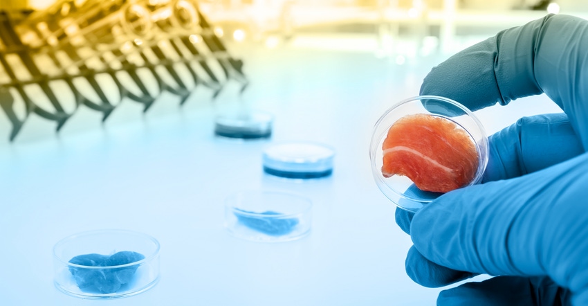 cultured meat_0.png cultured meat_0.png