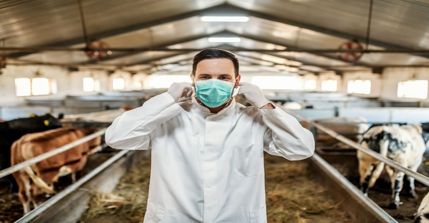 3-16-22 sick cattle GettyImages-1202586756.jpg 3-16-22 sick cattle GettyImages-1202586756.jpg