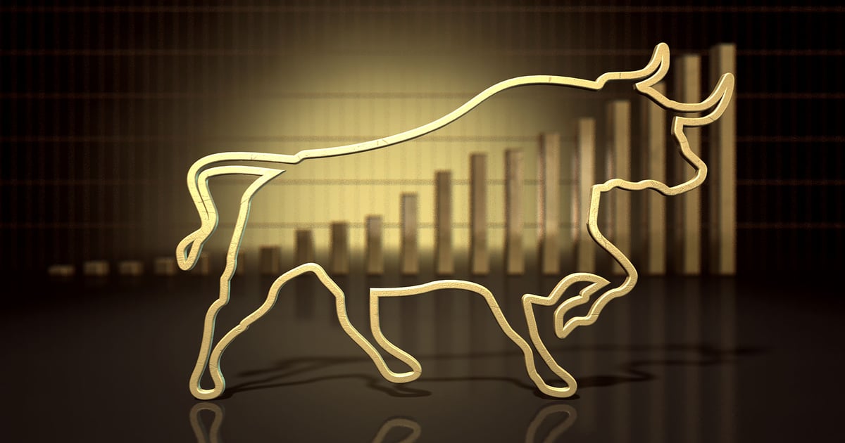 When will the bull market end?