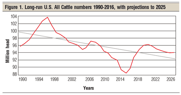 long-run U.S. all cattle numbers