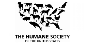 HSUS CEO resigns after sexual harassment allegations surface