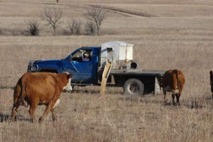 Monitor Your Pastures Now For Better Grazing Next Year