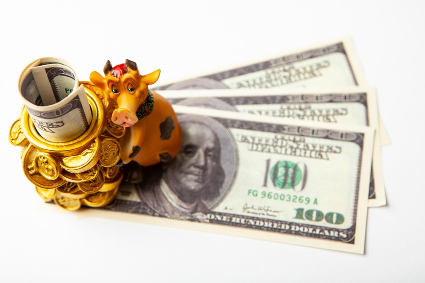 3-15 cows and money2.jpg 3-15 cows and money2.jpg