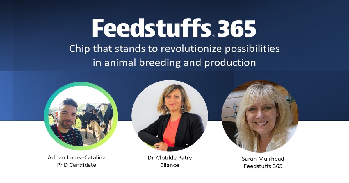 Chip stands to revolutionize possibilities in animal breeding and production