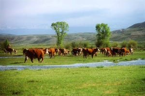 Wyoming Governor To Proclaim July 12 As Environmental Stewardship Day