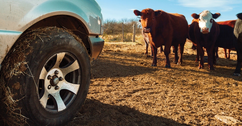 Pickup truck on a farm