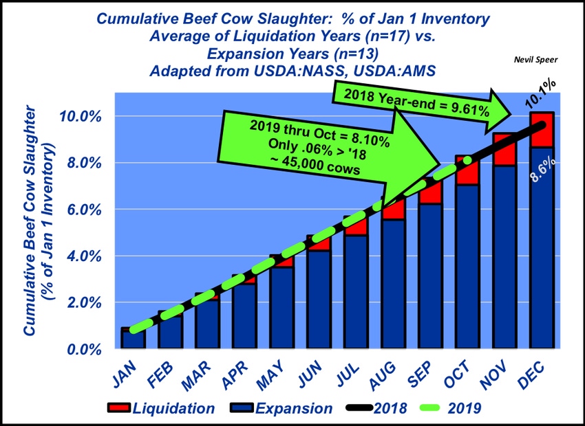 Cow slaughter outlook