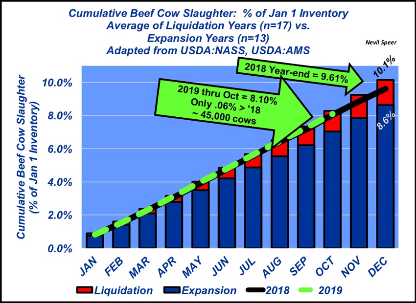 Cow slaughter outlook Cow slaughter outlook