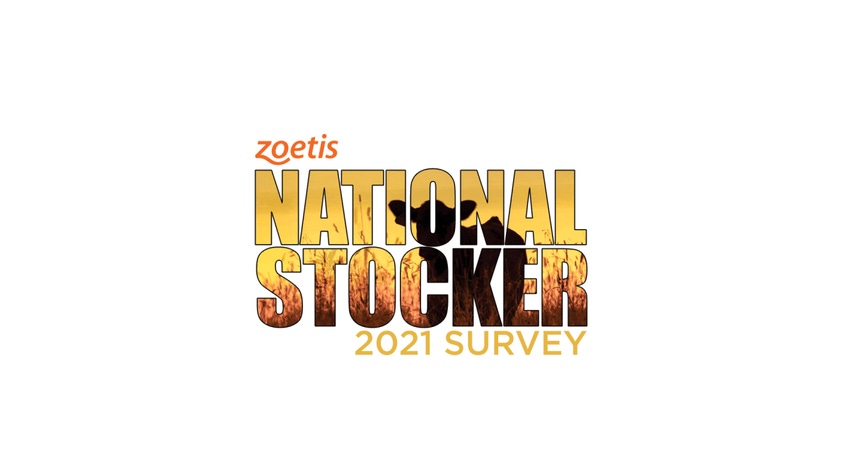 National Stocker Survey pic.png National Stocker Survey pic.png
