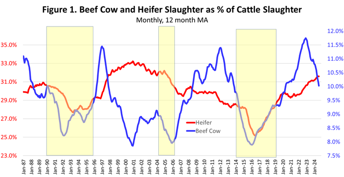 cow_heifer_slaughter_24.png