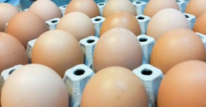 Cost of cage free eggs