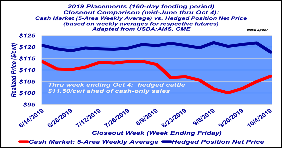 Fed cattle cash market vs. hedged net price