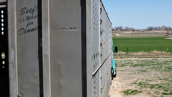 A rancher’s time warp: the insanity can’t continue, right?