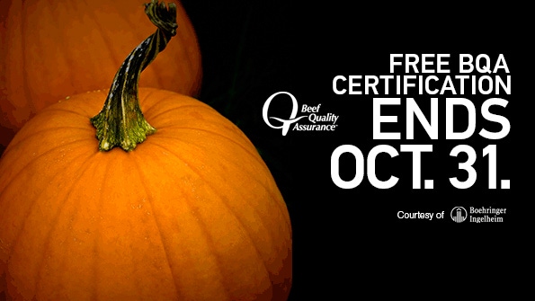 Boehringer Ingelheim Vetmedica, Inc. Sponsors BQA Certifications from September 1- October 31 Boehringer Ingelheim Vetmedica, Inc. Sponsors BQA Certifications from September 1- October 31