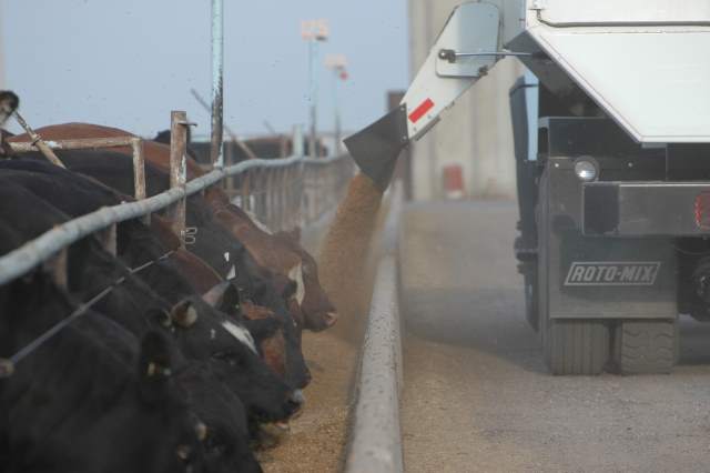 Cargill’s move brings antibiotic issue to a feedyard near you