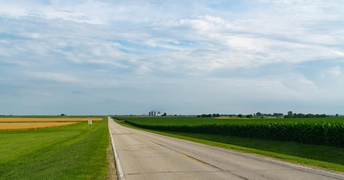 Cattle and beef markets from all directions
