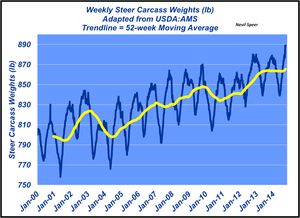 Industry At A Glance: How High Can Steer Carcass Weights Go?